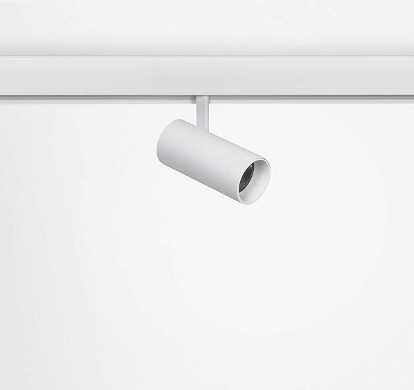 Internova Sottile LED svítidlo pro 48V lištu bílé ⌀40mm - 13WČerná2700K
