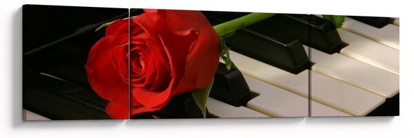 Obraz - Klavír a růže (170x50 cm)