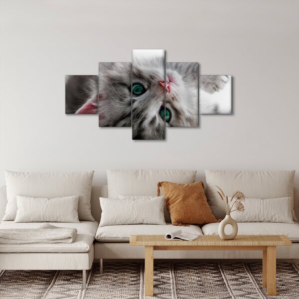 Obraz - Kočka se zelenýma očima (125x70 cm)