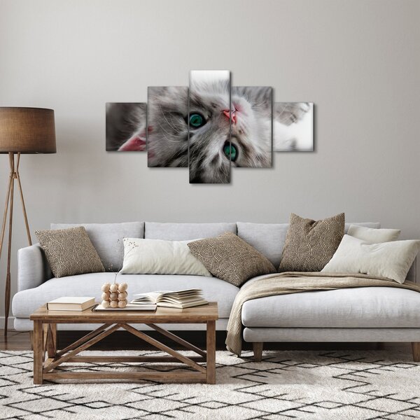 Obraz - Kočka se zelenýma očima (125x70 cm)