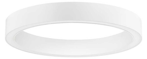 Nova Luce Sting LED kruhové stropní svítidlo stmívatelné Ø600mmBílá