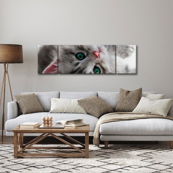 Obraz - Kočka se zelenýma očima (170x50 cm)