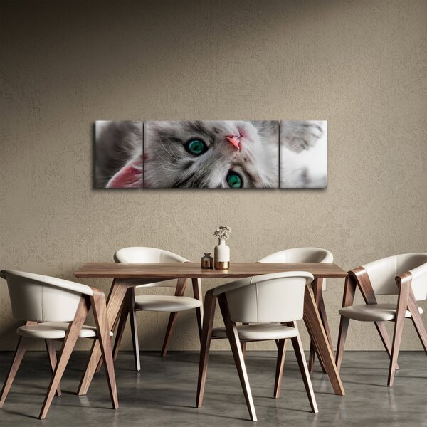 Obraz - Kočka se zelenýma očima (170x50 cm)