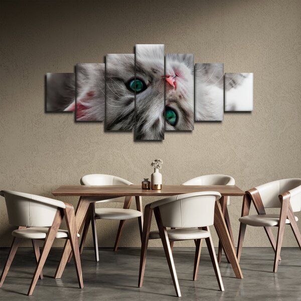 Obraz - Kočka se zelenýma očima (210x100 cm)
