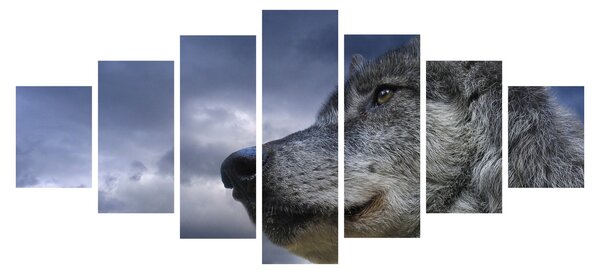 Obraz - Vlčí hlava (210x100 cm)