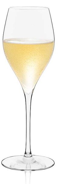Rona sklenice Champagne 290 ml 6 ks
