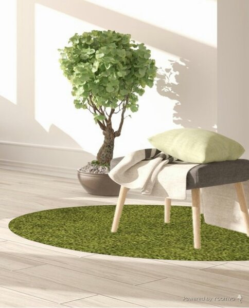 Ayyildiz, Kusový koberec Life Shaggy 1500 green kruh, 120x120 (průměr) kruh, zelená, ložnice