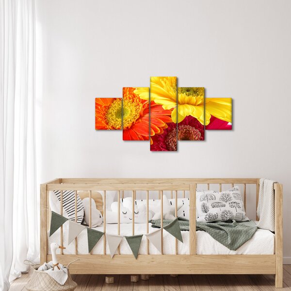 Obraz - Květy Gerbery (125x70 cm)