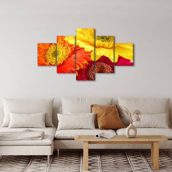 Obraz - Květy Gerbery (125x70 cm)