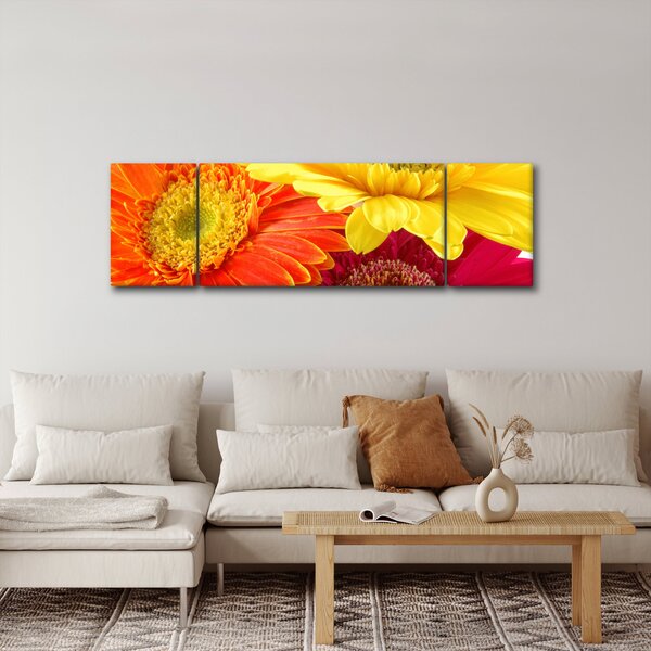 Obraz - Květy Gerbery (170x50 cm)