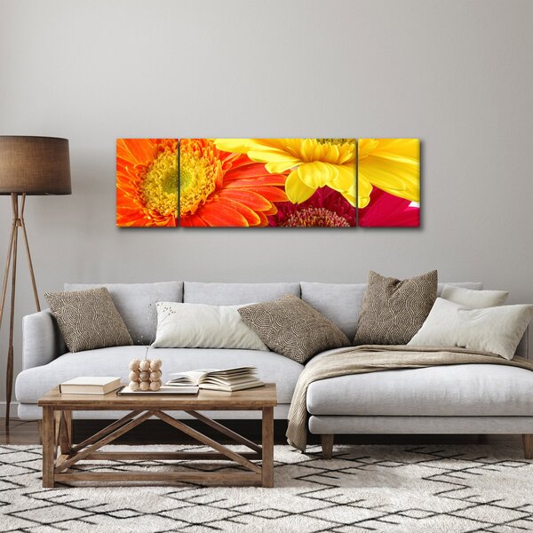 Obraz - Květy Gerbery (170x50 cm)