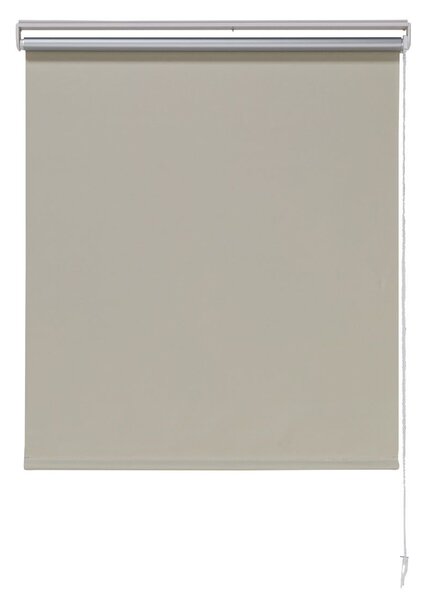Termo roleta na dveře (80 x 200 cm, krémová) (100324823005)