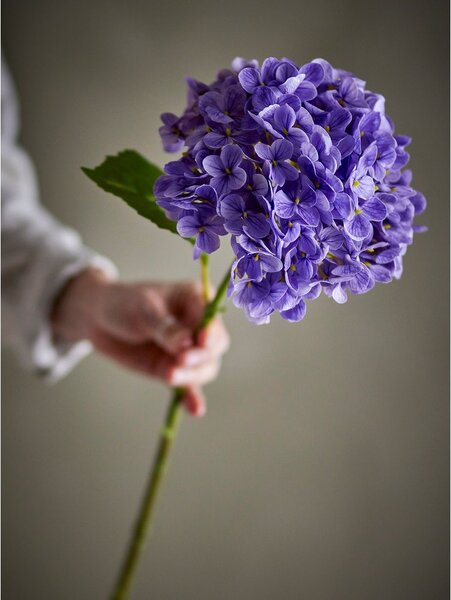 Umělá květina (výška 73,5 cm) Hydrangea – Bloomingville