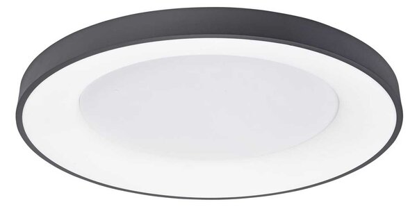 Nova Luce Rando Thin LED přisazené svítidlo stmívatelné ⌀600mmČerná