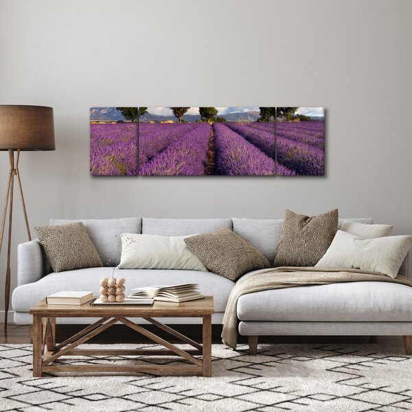 Obraz - Levandulové pole a hory (170x50 cm)