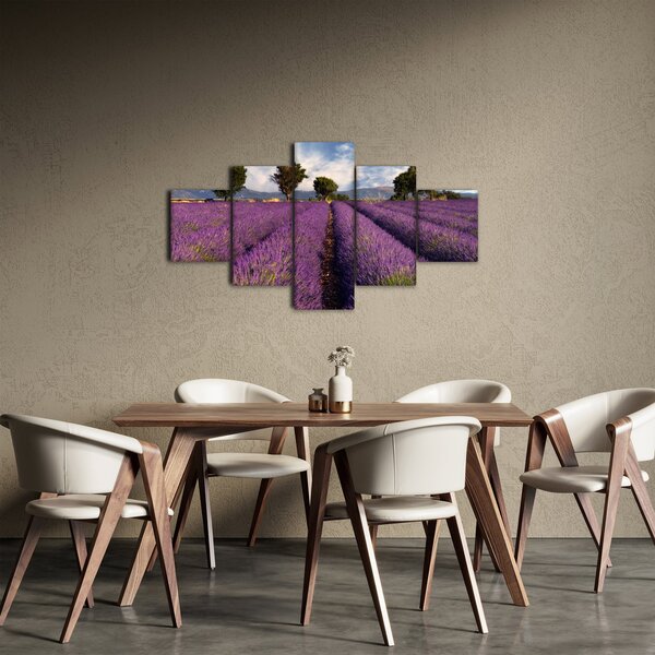 Obraz - Levandulové pole a hory (125x70 cm)