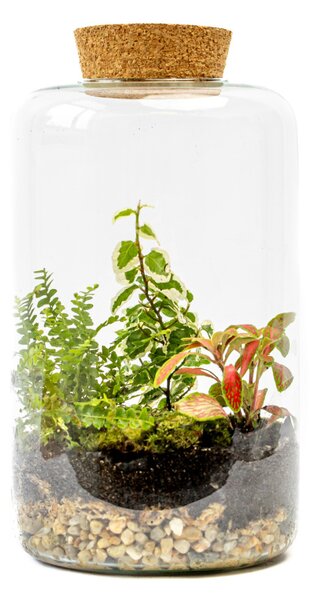 Skleněná dóza PAEONIA s korkovým špuntem, 25x15 cm - osázené vlhkomilně