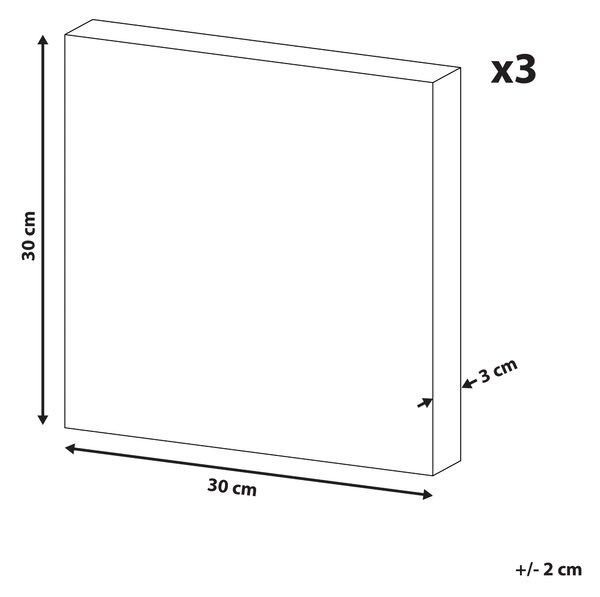 Sada 3 obrazů na plátně MENAKA Zvířecí motiv 30 x 30 cm Pestrá