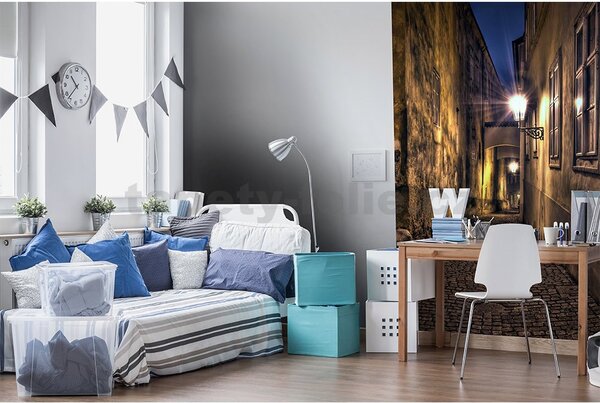 Vliesové fototapety, rozměr 150 cm x 250 cm, temná ulička, DIMEX MS-2-0043
