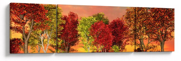 Obraz - Barevné stromy (170x50 cm)