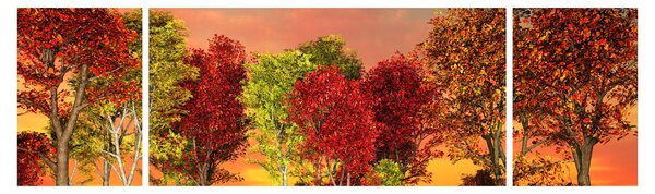 Obraz - Barevné stromy (170x50 cm)