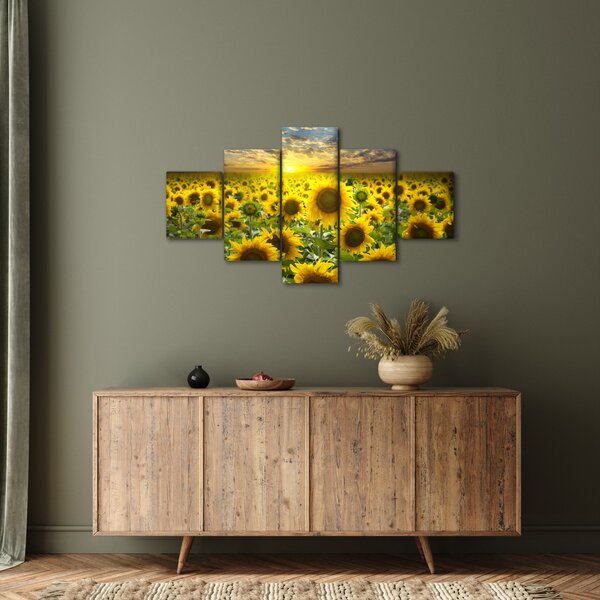 Obraz - Slunečnice při západu slunce (125x70 cm)