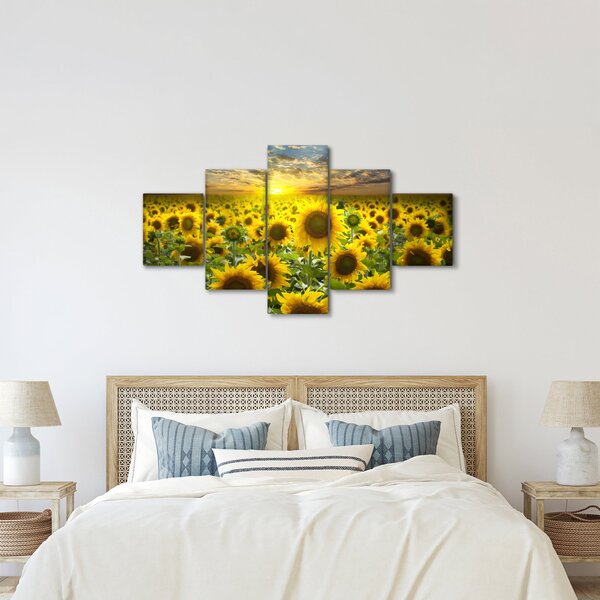 Obraz - Slunečnice při západu slunce (125x70 cm)