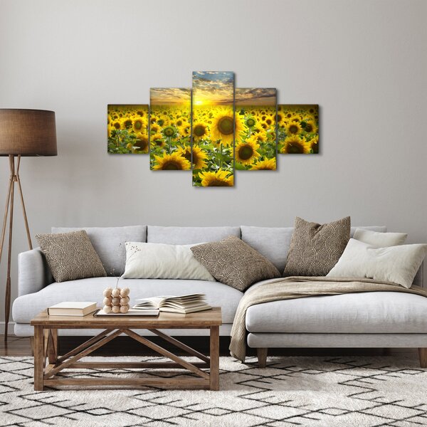 Obraz - Slunečnice při západu slunce (125x70 cm)