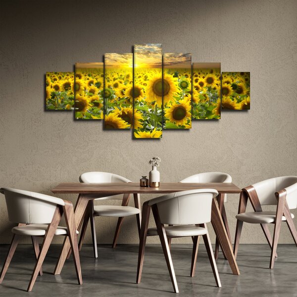 Obraz - Slunečnice při západu slunce (210x100 cm)