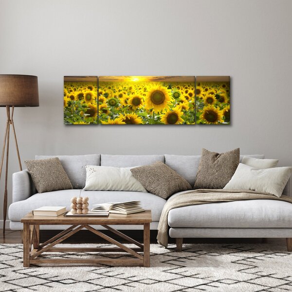 Obraz - Slunečnice při západu slunce (170x50 cm)
