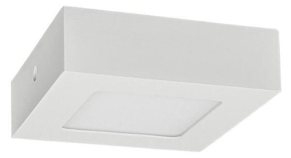 LED Stropní svítidlo FENIX LED/6W/230V 2800K 12 cm