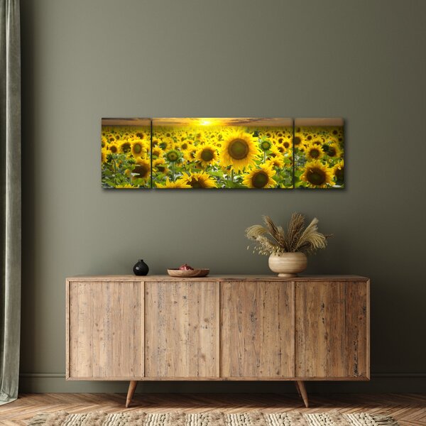 Obraz - Slunečnice při západu slunce (170x50 cm)