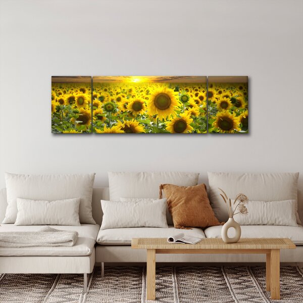 Obraz - Slunečnice při západu slunce (170x50 cm)