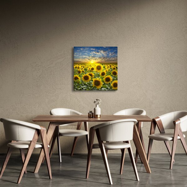 Obraz - Slunečnice při západu slunce (30x30 cm)