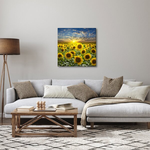 Obraz - Slunečnice při západu slunce (30x30 cm)