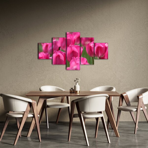 Obraz - Růžové tulipány (125x70 cm)