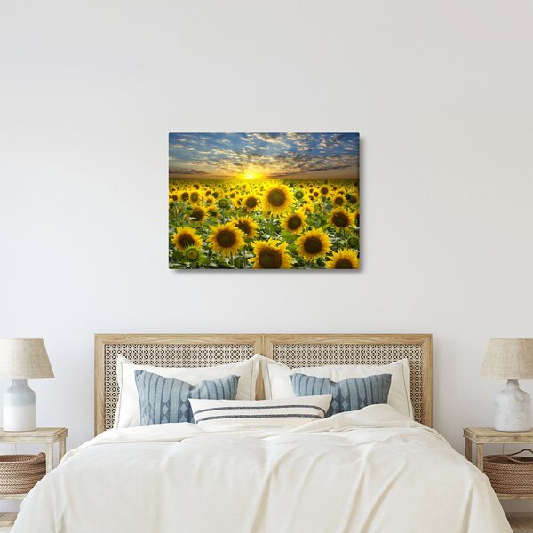 Obraz - Slunečnice při západu slunce (70x50 cm)