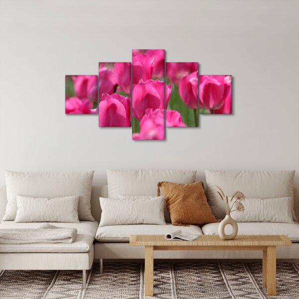 Obraz - Růžové tulipány (125x70 cm)