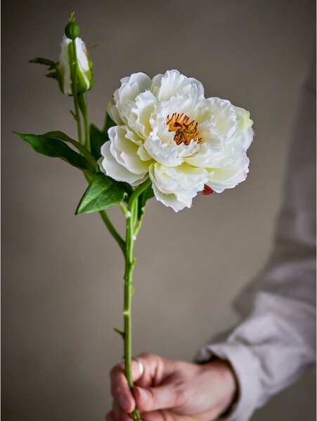 Umělá květina (výška 62 cm) Peony – Bloomingville