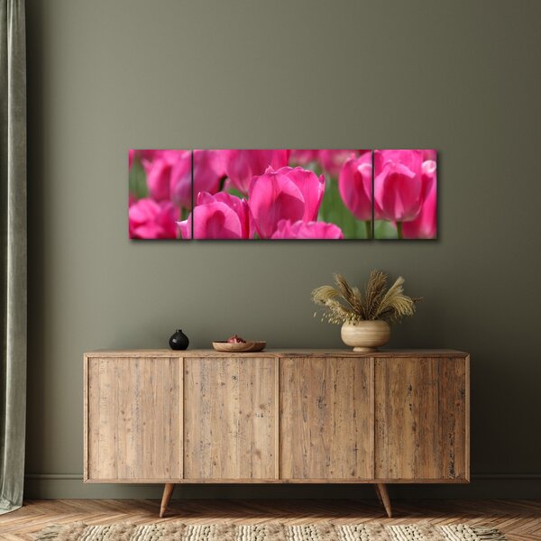 Obraz - Růžové tulipány (170x50 cm)
