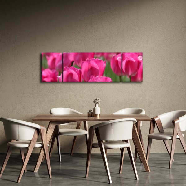 Obraz - Růžové tulipány (170x50 cm)