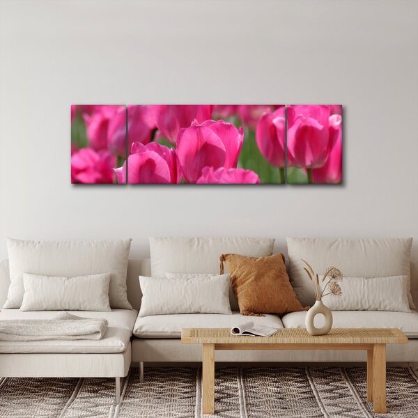 Obraz - Růžové tulipány (170x50 cm)