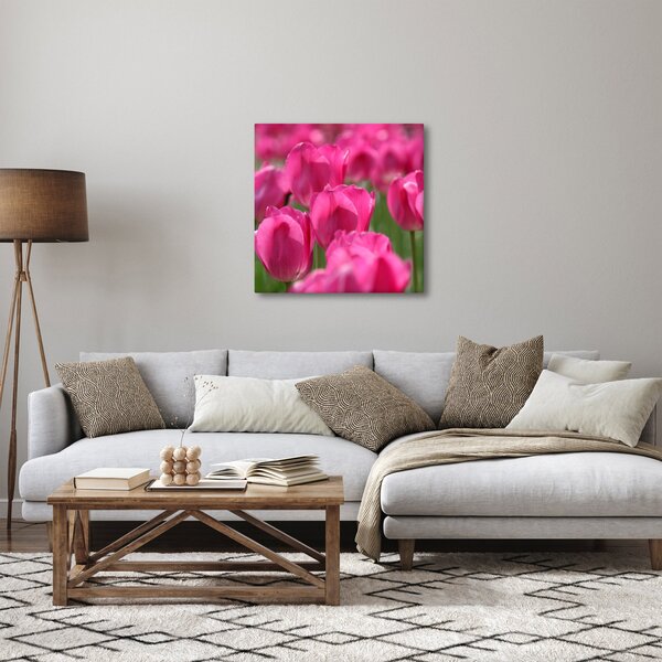 Obraz - Růžové tulipány (30x30 cm)