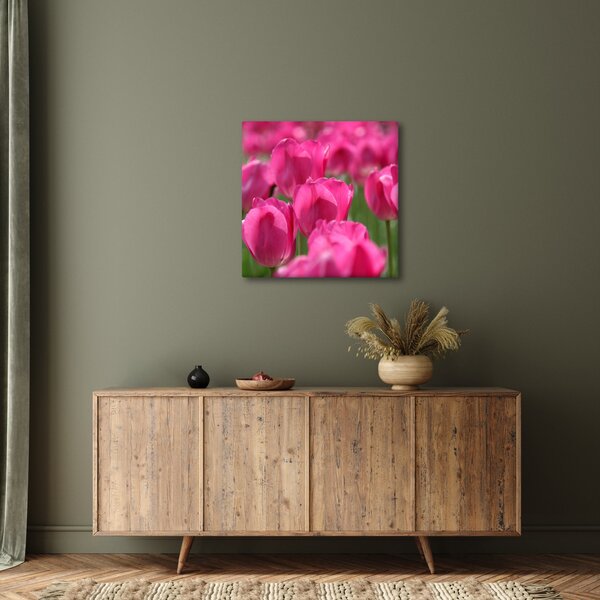 Obraz - Růžové tulipány (30x30 cm)