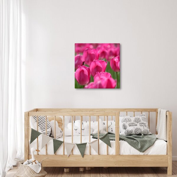 Obraz - Růžové tulipány (30x30 cm)