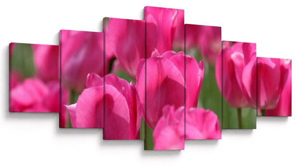 Obraz - Růžové tulipány (210x100 cm)