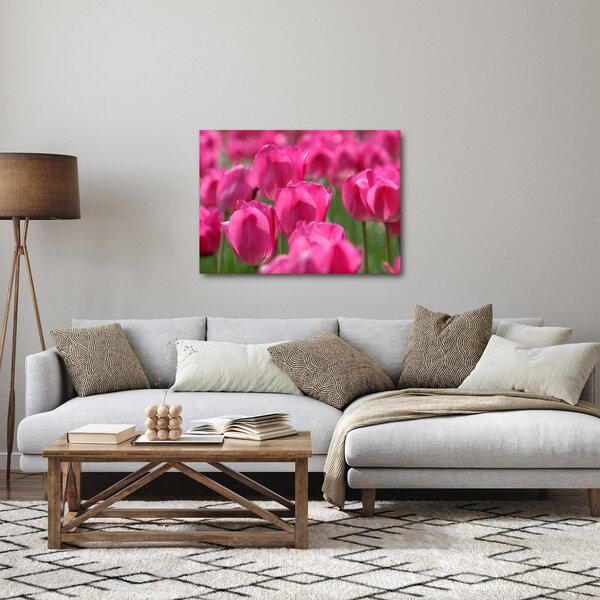 Obraz - Růžové tulipány (70x50 cm)