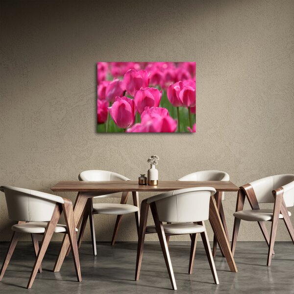 Obraz - Růžové tulipány (70x50 cm)