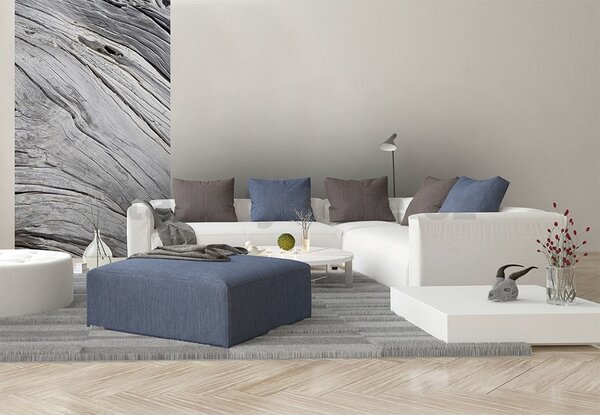 Vliesové fototapety, rozměr 150 cm x 250 cm, textura stromu, DIMEX MS-2-0160