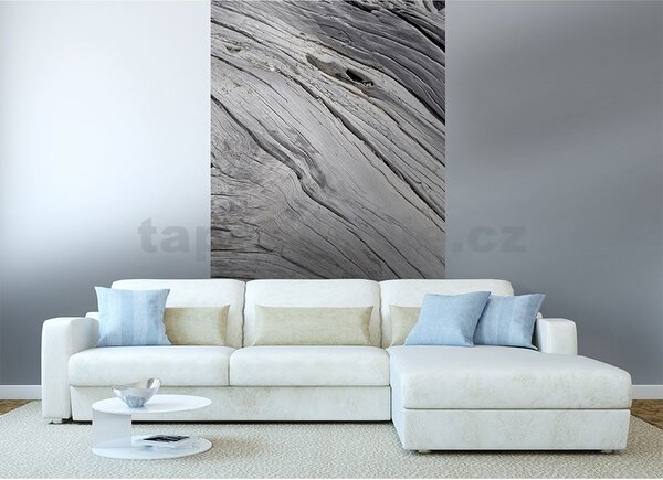 Vliesové fototapety, rozměr 150 cm x 250 cm, textura stromu, DIMEX MS-2-0160